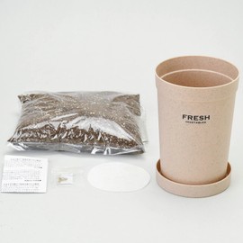 Seishin Pottery GD-89101 All Year Round Home Garden Easy Cultivation Kit, Loose Growing, Daikon Radish, Vegetables, Cultivation Set (Free Research/Food Education), Pot Diameter Approx. 3.9 inches (10