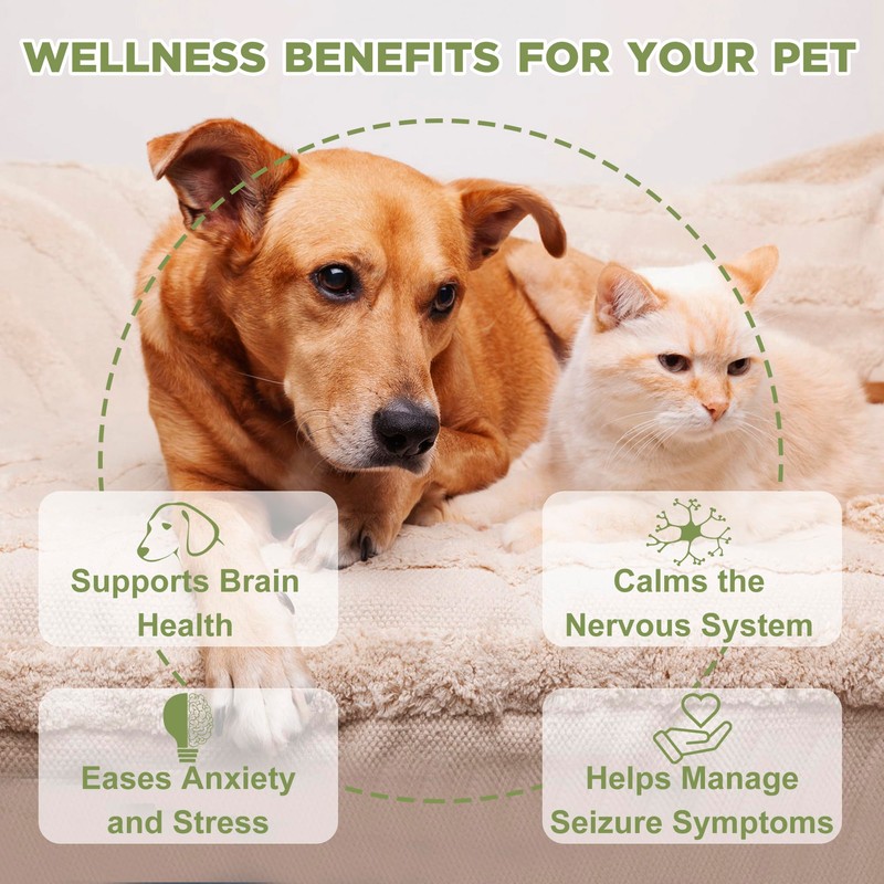 Seizure and Epilepsy Supplement, Nervous System Supplements for Dogs and