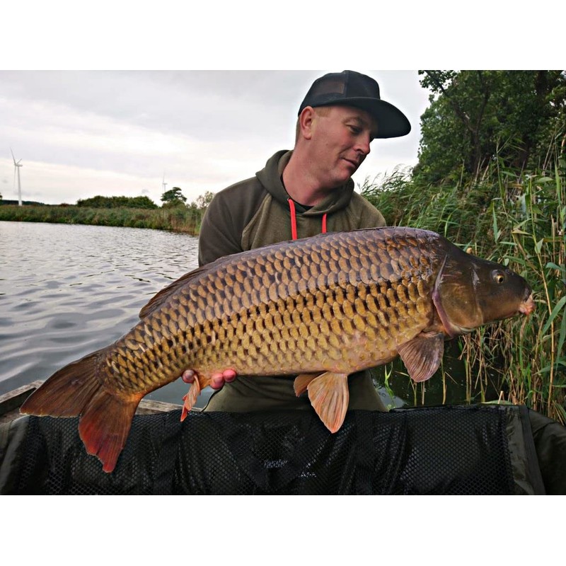 Tandem Baits Set of 8 Carp Pop Up Boilies Box