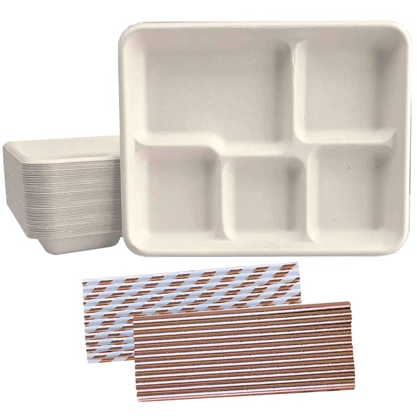 Outside the Box Papers Compostable Paper 5 Compartment School Lunch Tray- Eco Friendly Bagasse Plates and Paper Drinking Straws - 50 Each