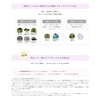 Takana Yuri Esthetact Essence Powder EX 0.8 oz (23 g),