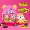 Bonkers Surprise Catnip Flavor Cat Box Cat Toy