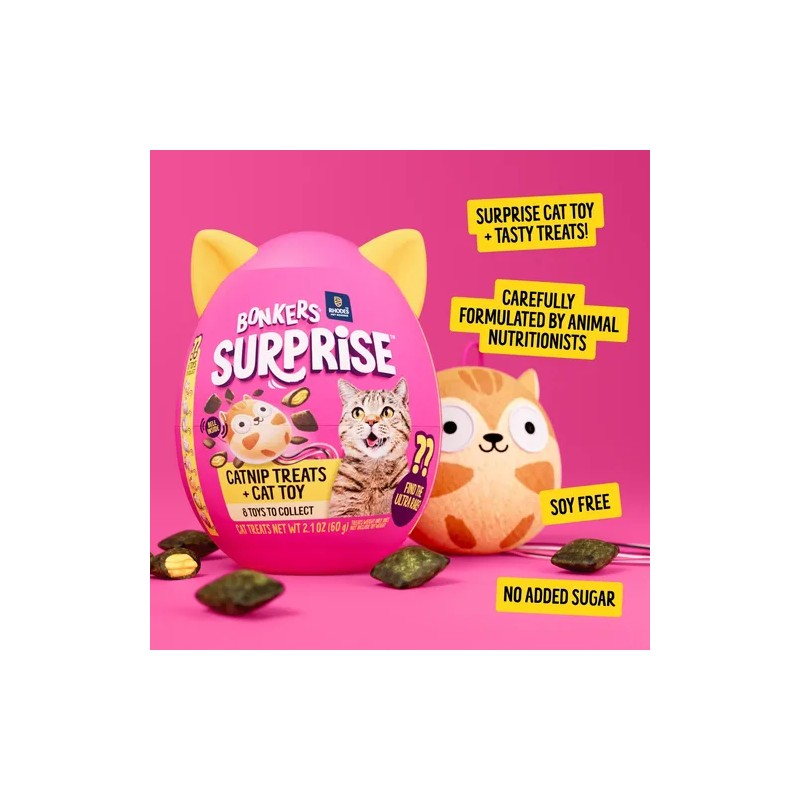 Bonkers Surprise Catnip Flavor Cat Box Cat Toy