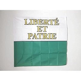 Canton of Vaud Flag 3' x 3' for a pole - Vaud - VD flags 90 x 90 cm - Banner 3x3 ft with hole - AZ FLAG