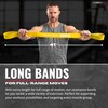 COBRASIX Resistance Bands for Working Out Men and Women |
