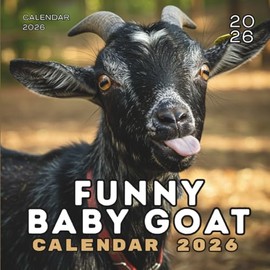 2026 Baby Goat Calendar: Cute & Funny Goat Photos for Every Month