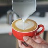 HOFASON Stainless Steel Milk Frothing Pitcher Cappuccino Pitcher Pouring Jug