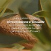 Concentrado de Leche de Almendra, L'Occitane 200ml