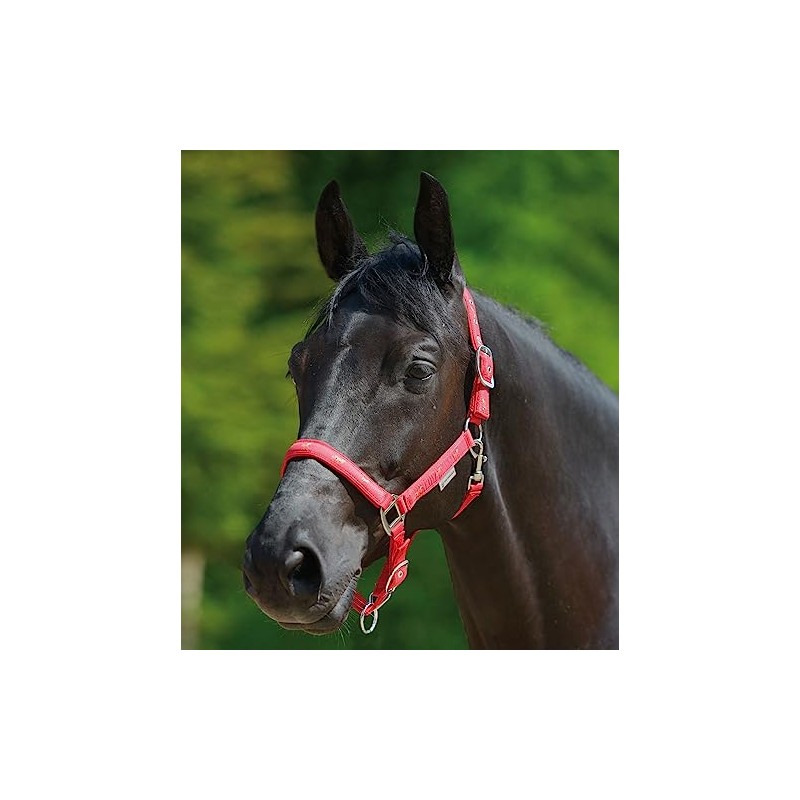 Halfter Pferdchen, rot, WB