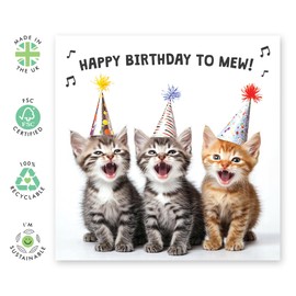 Lovely Cats Birthday Card – Kittens Mew in Party Hats - Gifts for Her, Him, Cat Lovers, Fur Dad or Mum, Friends, Colleagues, Coworkers, Cousin, Pet Owners, Niece, Nephew - Comes with Fun Stickers