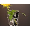 Maul Acrylic Office Organiser, transparent