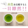 Chatsumi-no-Sato Green Tea Bags, Pure Green Fountain, 0.1 oz (2.5