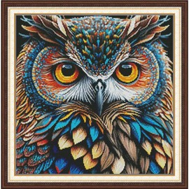 ITSTITCH Stamped Cross Stitch Kits - Full Set of Embroidery for Beginners or Adults,14 CT 2 Strands DIY Owl Patterns Counted Arts Craft 16.1×16.1 inch
