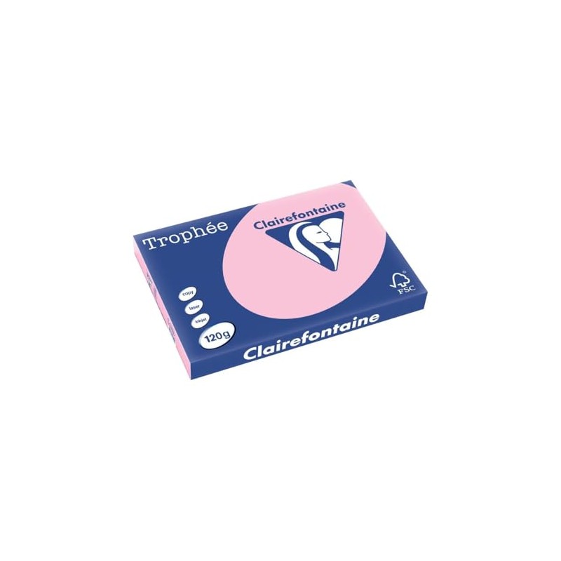 Clairefontaine 1310C - Ream with 250 Sheets of Printer Paper