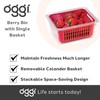 Oggi 5169 Berry Bin - Single Basket, Red