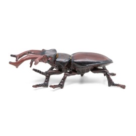 Papo -Figurine -50281-Stag Beetle