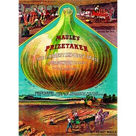 A SLICE IN TIME Maule's Prizetaker Vintage Vegetable Seed Packet Catalogue Advertisement Poster
