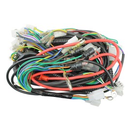 TAOTAO VIP 50CC SCOOTER COMPLETE WIRE HARNESS NEW