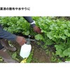 TAKAGI GHSN-1C Garden Pressure Sprayer, 0.3 gal (1 L)