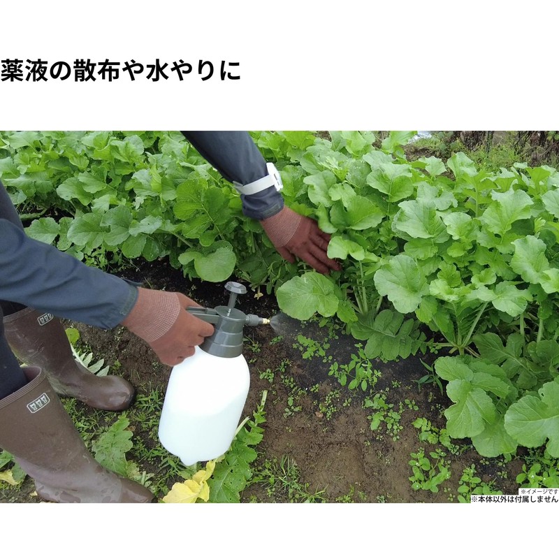 TAKAGI GHSN-1C Garden Pressure Sprayer, 0.3 gal (1 L)