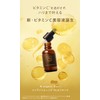 Vitamin Serum, N organic Basic Conditioning, VC Essence, 1.1 oz