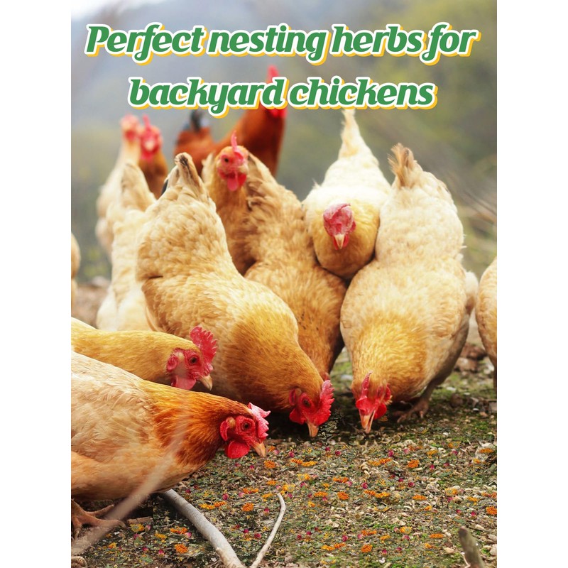 20OZ Chicken Nesting Herbs - Natural Nesting Box Feed Herbs