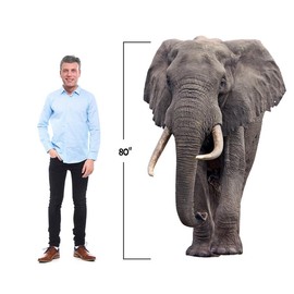 Elephant - Life Size Cardboard Cutout Standup People with Support Standee | Animals -