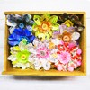 Seido Shinzi Katoh Masking Tape 2 Rolls B1 ks-dt-20063