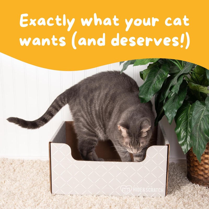 Hide & Scratch Cardboard Cat Scratcher Box & Bed -