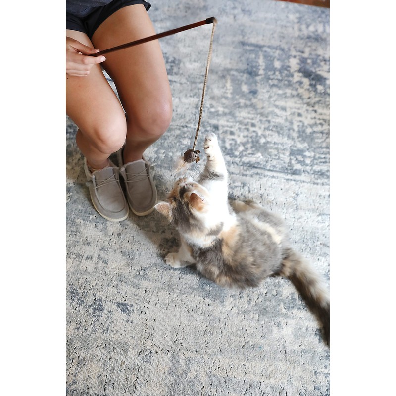 OurPet's Play-N-Squeak Teathered & Feathered Play Wand Cat Toy, for