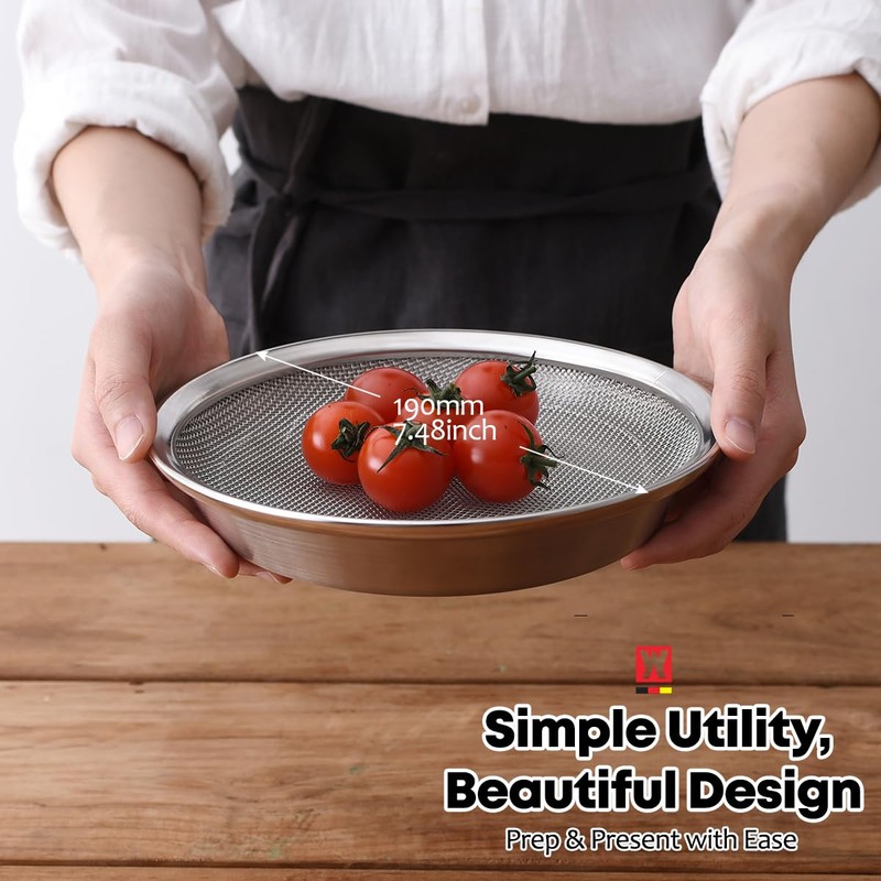 WAGENSTEIGER Stainless Steel Mesh Tray Set with Drip Pan, Air