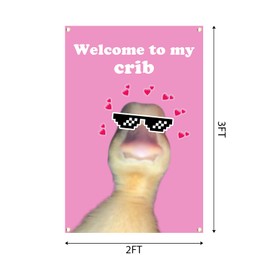 Welcome To My Crib Flag 2x3 Feet Tapestry With 4 Brass Grommets. Funny Flag for Teen Girls Room Indoor Outdoor Bedroom and College Dorm Wall Decor Banner. (pink)