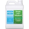 Advanced 16-4-8 Lawn Fertilizer - Liquid Lawn Food Spring &