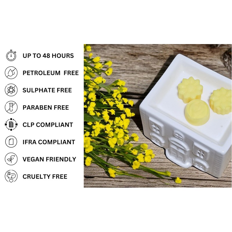 Co-Co Madam Highly Scented Soy Wax Melts