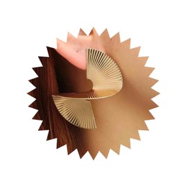 Aneneiceera Punk Earrings Gold Geometric Spiral Earrings Metal Sector Stud Earrings Irregular Statement Earrings Jewellery for Women and Girls, Alloy Steel Metal