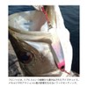 COREMAN Metal Jig CZ-30 Zettai On Hook #007 Sardine Gold