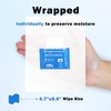Selwatty 110 Anti-Fog Lens Wipe for Glasses/Screens, Wet, Quick Dry,