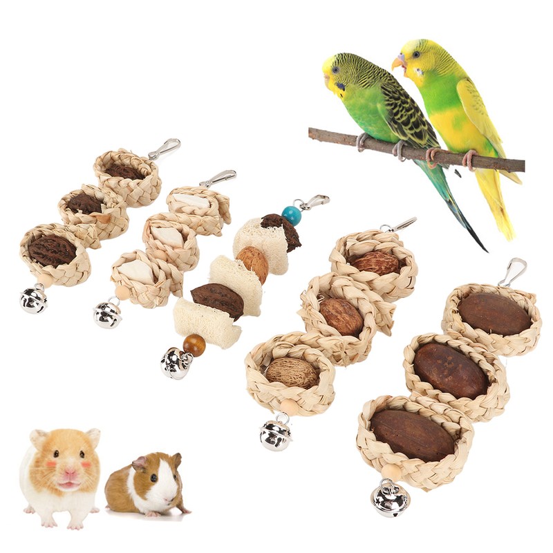 5PCS Parrot Cuttlebone Chew Toy Bite Resistant Corn Leaf Nuts