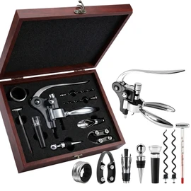 Wine Bottle Opener Gift Set with Wooden Box, Premium Stainless Steel Corkscrew, Wine Pourer & Accessories, Professional Red Wine Opener Kit for Home & Gifts