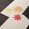 Midori 87182006 Autumn Letter Silk Fall Leaves Envelopes