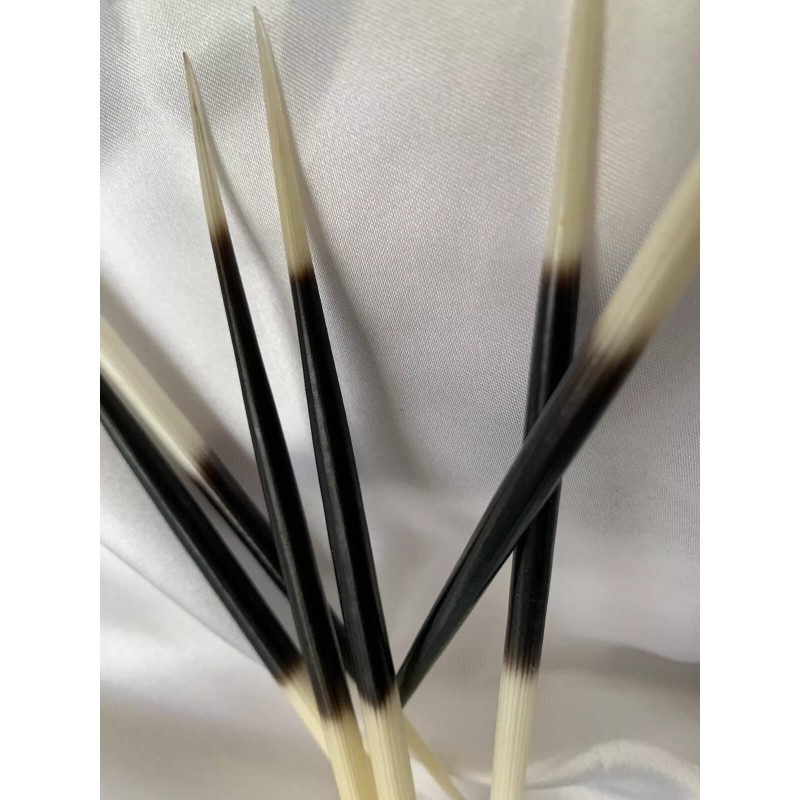 Porcupine quill pen-1