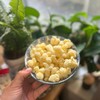 Puffcorn Single Serve Variety Pack - 20 bags - Like