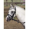 BUSSE Little Bridle