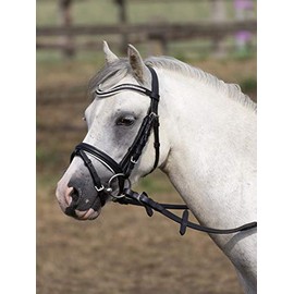 BUSSE Little Bridle