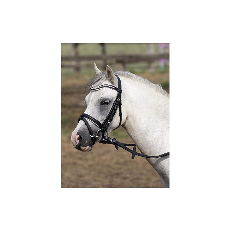 BUSSE Little Bridle