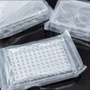 48 - Well Cell Culture Plate, Pack of 20