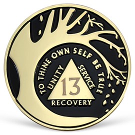 13 Year Sobriety Coin Tree of Life AA Coin Alcoholics Anonymous Medallion Thirteen Year Sober Chip Anniversary Token Sobriety Gifts for Women Men Celebrating Sobriety