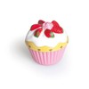 Excelsa Cupcake Short-Term Paths, Plastic, Multi-Colour