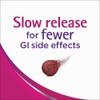 Slow Fe Iron Supplement Tablets for Iron Deficiency, Slow Release,
