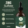 Zinc Sulfate 7.5 mg/2 mL Oral Solution - 50 mL